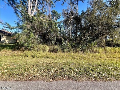 Port Charlotte Waterway Area Lot For Sale in Port Charlotte Florida