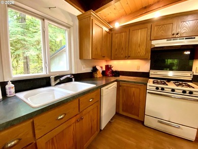 ONE-LEVEL CABIN IN NORTHWOODS! Located on the corner of one of - photo 9