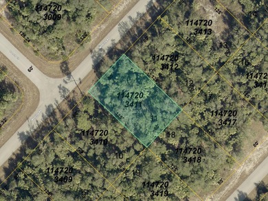 This lot is FLOOD ZONE X, providing PEACE OF MIND with minimal - photo 3