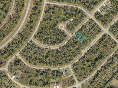 This lot is FLOOD ZONE X, providing PEACE OF MIND with minimal - photo 4
