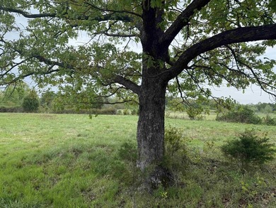 The building site of your dream home awaits. This location - photo 5