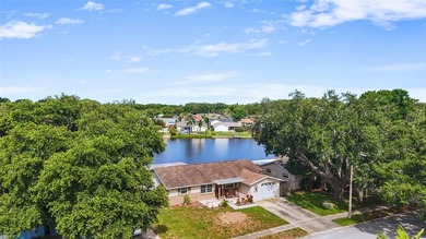 BEAUTIFUL LAKEFRONT LOCATION WITH NO HOA ON AN OVERSIZED 0.27 - photo 3