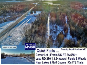 Nickerson Lake Acreage For Sale in Houlton Maine