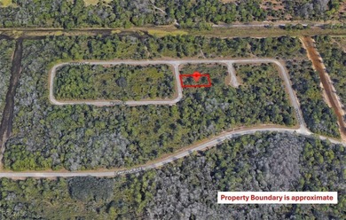 Lehigh Acres Area Lot For Sale in Lehigh Acres Florida