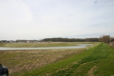 Land for sale, 10 +/- acres in Allen County, IN, just north of - photo 12