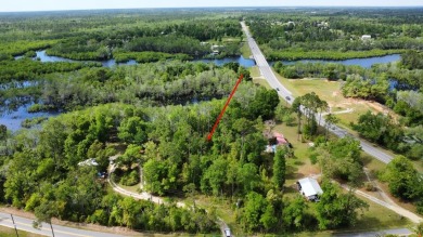 Dead Lake Lot For Sale in Wewahitchka Florida