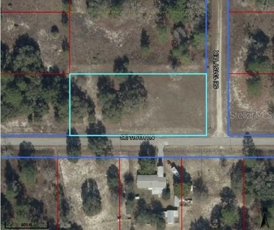 Bonable Lake Lot For Sale in Dunnellon Florida
