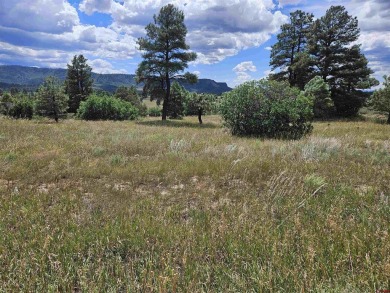 Lake Forest Lot For Sale in Pagosa Springs Colorado