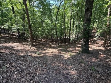 Coosawattee River - Gilmer County Lot For Sale in Ellijay Georgia