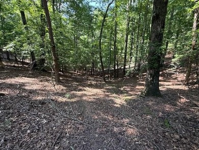 Coosawattee River - Gilmer County Lot For Sale in Ellijay Georgia
