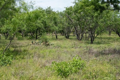 Unrestricted 27-acre tract located along Highway 290 East in the - photo 36