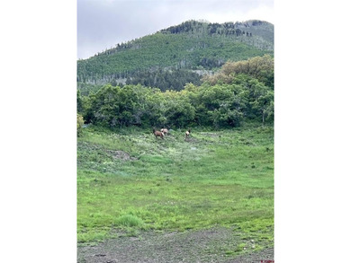Eric Roark, The Wells Group of Durango, LLC, C:,,: *LUXURY IN - photo 40