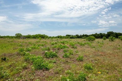 Unrestricted 27-acre tract located along Highway 290 East in the - photo 42