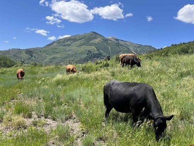 Eric Roark, The Wells Group of Durango, LLC, C:,,: *LUXURY IN - photo 43