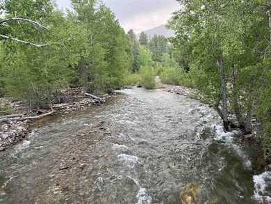Eric Roark, The Wells Group of Durango, LLC, C:,,: *LUXURY IN - photo 44