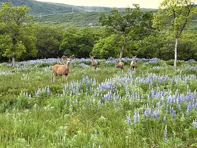 Eric Roark, The Wells Group of Durango, LLC, C:,,: *LUXURY IN - photo 45