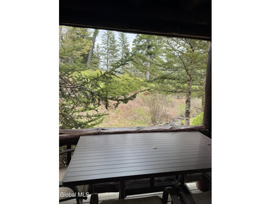 Why rent when you can own a piece of lakefront luxury while - photo 5