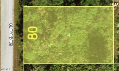 Port Charlotte Waterway Area Lot For Sale in Port Charlotte Florida