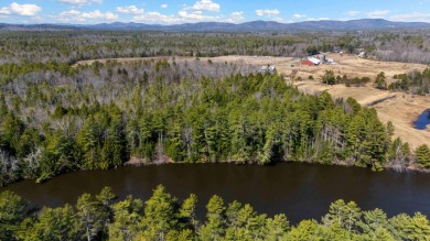 Lake Acreage For Sale in Limington, Maine