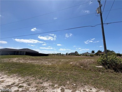 Great opportunity to own a residential lot in a rapidly growing - photo 3