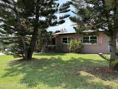 Unlock the potential of this hidden gem 3 BR/2BA Cape Canaveral - photo 48