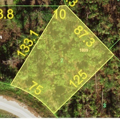 Port Charlotte Waterway Area Lot For Sale in Port Charlotte Florida