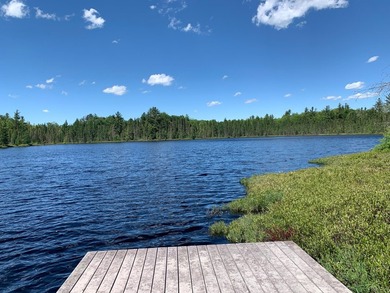 WINIFRED LAKE AT LONE PINE: Your dream property! 225 acres +/- - photo 5
