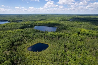 WINIFRED LAKE AT LONE PINE: Your dream property! 225 acres +/- - photo 7