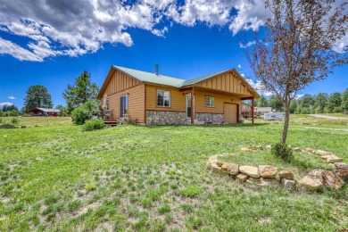 Hatcher Reservoir Home For Sale in Pagosa Springs Colorado