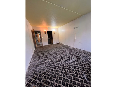 ***HANDYMAN SPECIAL, AS IS LISTING**** This unique (3) bed - photo 17
