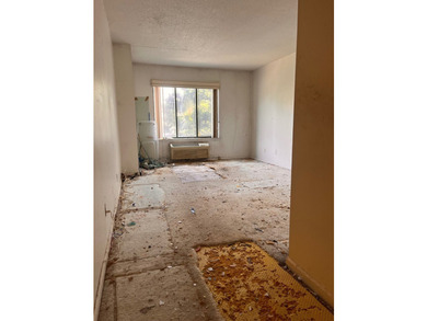 ***HANDYMAN SPECIAL, AS IS LISTING**** This unique (3) bed - photo 19