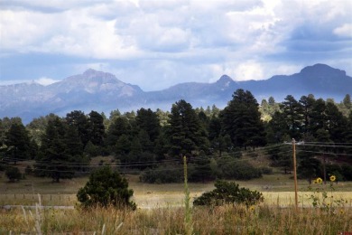 Lake Forest Lot For Sale in Pagosa Springs Colorado