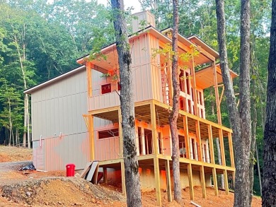Lake Home For Sale in Blue Ridge, Georgia