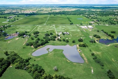 (private lake, pond, creek) Home For Sale in Wills Point Texas