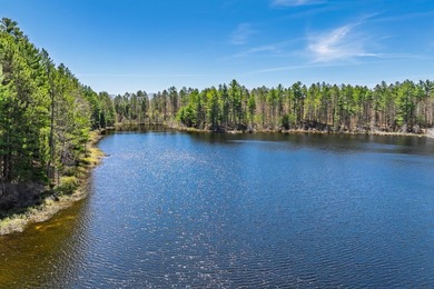 Ultimate privacy on 80 wooded acres with your own private - photo 1