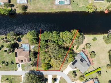 Imagine a homesite that's simply impossible to ignore, framed by - photo 3