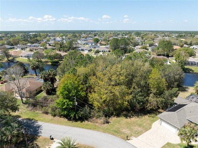 Imagine a homesite that's simply impossible to ignore, framed by - photo 8