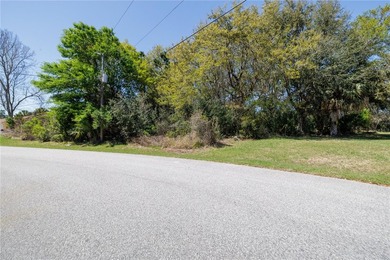 Imagine a homesite that's simply impossible to ignore, framed by - photo 10