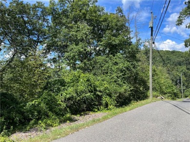 Green Pond / Emerald Lake Lot For Sale in Sherman Connecticut