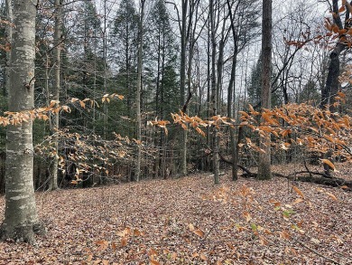 Build your home in Tranquil Stillwater. - Lake Lot For Sale in Russell Springs, Kentucky