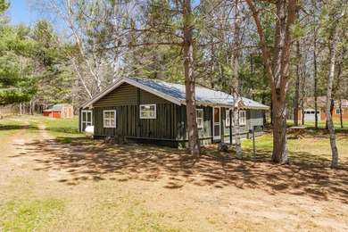 Nostalgic Northwoods Retreat on the shores of Full-Rec Skunk - photo 5