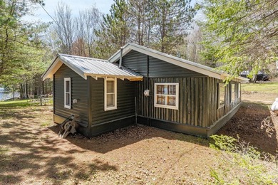 Nostalgic Northwoods Retreat on the shores of Full-Rec Skunk - photo 7