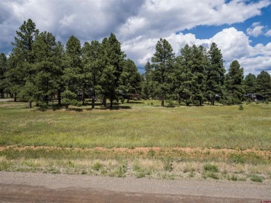 Lake Pagosa Lot For Sale in Pagosa Springs Colorado