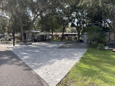 Lake Lot For Sale in Salt Springs, Florida