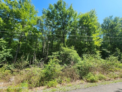 Mud Run Lake Lot For Sale in Jim Thorpe Pennsylvania