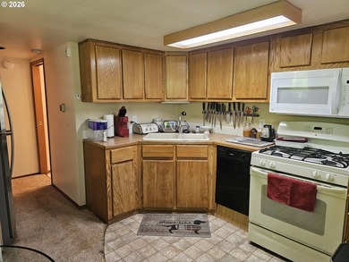 Welcome to Whaleshead Beach Resort! This spacious cabin offers - photo 6