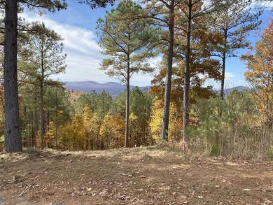 Lake Acreage For Sale in Blairsville, Georgia