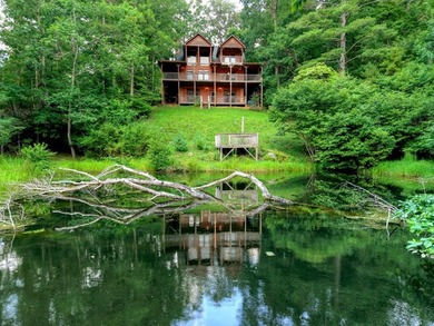 (private lake, pond, creek) Home For Sale in Suches Georgia