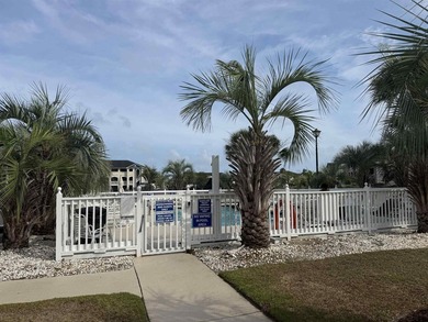 A Gated Community at its finest *Carolina Yacht Landing*. 3 - photo 7