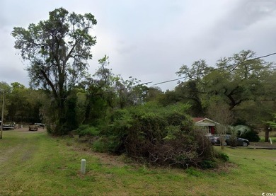 PRICE REDUCED! THE BEST DEAL FOR LAND IN NORTH MYRTLE BEACH - photo 2